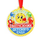 Диплом и медаль на Выпускной «Выпускника детского сада», 13,7 х 20,8 см, 250 гр/кв.м - фото 8645422