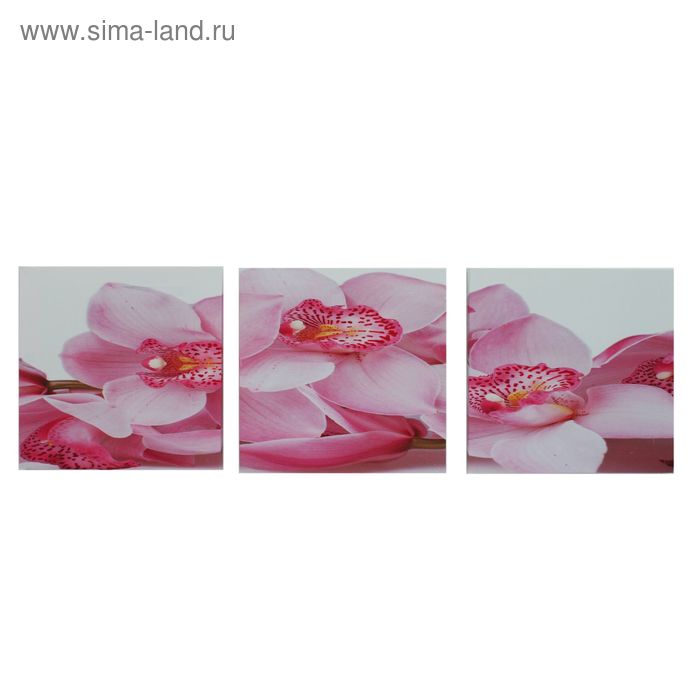 Картин модульная на холсте  "Розовые орхидеи" 3шт.-30*30см  100*30см - Фото 1