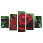 Картина модульная на подрамнике "Роскошная роза" 2-43х25, 2-58х25, 1-72х25 см,   72*125см - Фото 1