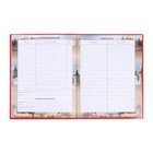 Дневник российского школьника для 1-4 классов, твёрдая обложка 7БЦ, глянцевая ламинация, 48 листов - Фото 5