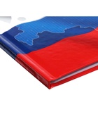 Дневник универсальный для 1-11 классов, «Символика-», твердая обложка 7БЦ, глянцевая ламинация, 40 листов - Фото 5