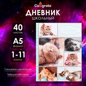 Дневник универсальный для 1-11 классов, 