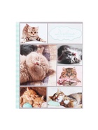 Дневник универсальный для 1-11 классов, «Котята», твердая обложка 7БЦ, глянцевая ламинация, 40 листов - Фото 3