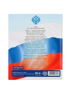 Дневник универсальный для 1-11 классов, "Символика-5", твердая обложка 7БЦ, глянцевая ламинация, 40 листов 1309323 - фото 16882338