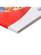 Дневник универсальный для 1-11 классов, "Символика-5", твердая обложка 7БЦ, глянцевая ламинация, 40 листов - Фото 5