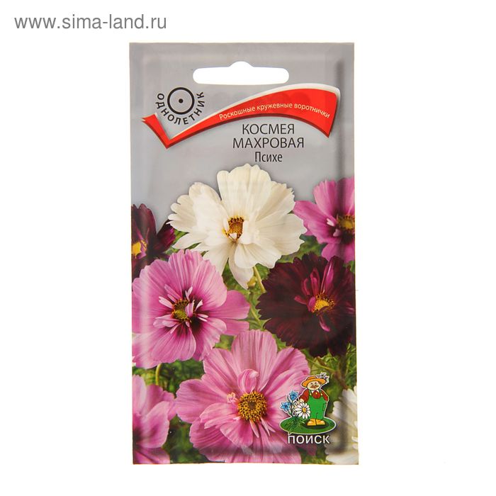 Как выглядят семена космеи фото и описание Как выглядят семена космеи фото и описание