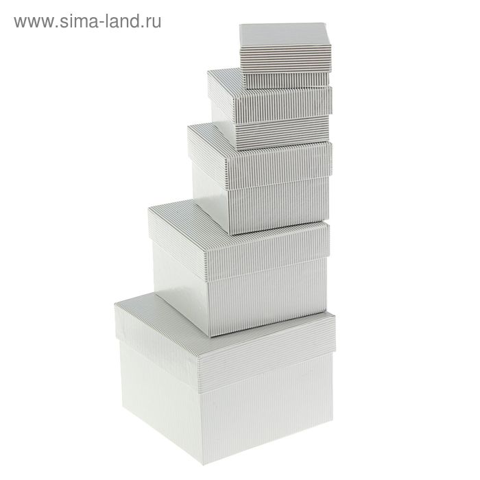 Набор коробок 5в1 "Линии серебряные", 12 х 12 х 9 - 6 х 6 х 3 см - Фото 1