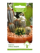 Семена комнатных цветов Кактус "Смесь видов", комнатные, Мн, 0,1 г. - фото 809596873