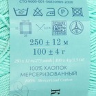 Пряжа "Классический хлопок" 100%мерсеризованный хлопок 250м/100гр (411-Мята) - Фото 3