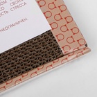 Домашняя когтеточка-лежанка для кошек, 50×24 см - Фото 5