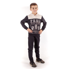 Джемпер для мальчика "Волчья стая", рост 128 см (64), цвет тёмно-серый/бежевый (арт. ПДД578258_Д) - Фото 1