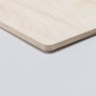 Доска разделочная деревянная Доляна, берёза, 30×40×0,8 см - Фото 4