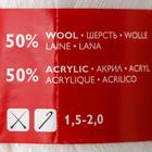 Пряжа Lidiya (ЛидияПШ) 50% шерсть, 50% акрил 1613м/100гр (964 ультрабелый) - Фото 2