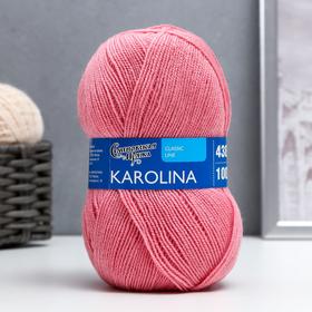 Пряжа Karolina (Каролина) 100% акрил 438м/100гр (64 клевер)