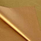 Бумага тишью "Золотисто-бронзовый", 50 х 76 см, 24 шт. - фото 321253551
