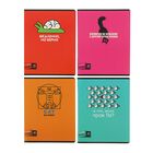 Тетрадь 48 листов клетка Cat da Vinci, картонная обложка, 4 вида МИКС - Фото 1