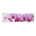 Экран для ванны "Ультра легкий АРТ" Дикая орхидея, 168 см - фото 8464453