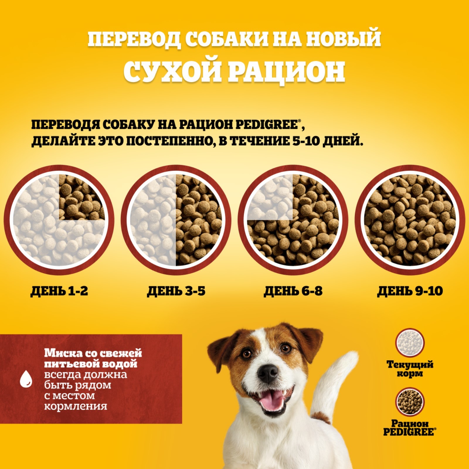 Сухой корм Pedigree для собак мелких пород, говядина, 13 кг (1397341) -  Купить по цене от 3 242.00 руб. | Интернет магазин SIMA-LAND.RU