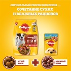 Сухой корм Pedigree для собак мелких пород, говядина, 13 кг 1397341 - фото 54995