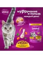 Сухой корм Whiskas для кошек, курица/индейка, подушечки, 800 г - Фото 6