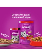 Сухой корм Whiskas для кошек, курица/индейка, подушечки, 800 г - Фото 7