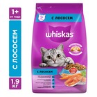 Сухой корм Whiskas для кошек, лосось, подушечки, 1,9 кг - фото 5918187