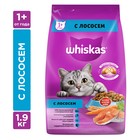 Сухой корм Whiskas для кошек, лосось, подушечки, 1,9 кг 1397300 - фото 3200248