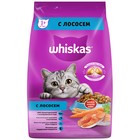 Сухой корм Whiskas для кошек, лосось, подушечки, 1,9 кг - Фото 6