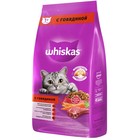 Сухой корм Whiskas для кошек, говядина, подушечки, 5 кг - фото 8277482