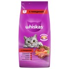 Сухой корм Whiskas для кошек, говядина, подушечки, 5 кг - Фото 6