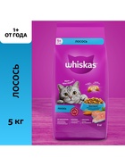 Сухой корм Whiskas для кошек, лосось, подушечки, 5 кг - Фото 1