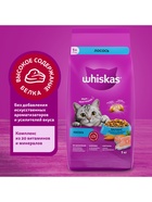Сухой корм Whiskas для кошек, лосось, подушечки, 5 кг - Фото 6