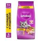 Сухой корм Whiskas для кошек, курица/индейка, подушечки, 5 кг - Фото 1