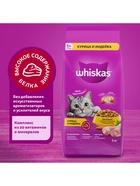 Сухой корм Whiskas для кошек, курица/индейка, подушечки, 5 кг - Фото 4