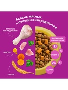 Сухой корм Whiskas для кошек, курица/индейка, подушечки, 5 кг - Фото 5