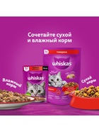 Сухой корм Whiskas для кошек, курица/индейка, подушечки, 5 кг 1397297
