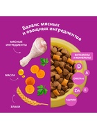 Сухой корм Whiskas для стерилизованных кошек, курица, 350 г - Фото 4