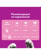 Сухой корм Whiskas для стерилизованных кошек, курица, 350 г - Фото 6