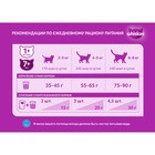 Сухой корм Whiskas для стерилизованных кошек, говядина, 350 гр 1397290 - фото 72692