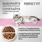 Сухой корм Perfect Fit для котят, курица, 650 г - Фото 8