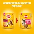 Сухой корм Pedigree для собак мини пород, говядина, 1.2 кг - Фото 2
