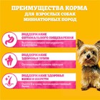 Сухой корм Pedigree для собак мини пород, говядина, 1.2 кг - Фото 4