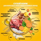 Сухой корм Pedigree для собак мини пород, говядина, 1.2 кг - Фото 5
