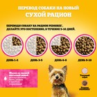 Сухой корм Pedigree для собак мини пород, говядина, 1.2 кг - Фото 7