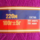 Пряжа "Надежда" 30% шерсть, 70% акрил 220м/100гр (191 цикламен) - Фото 3