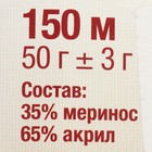 Пряжа для вязания спицами, крючком «Камтекс. Бамбино», 35% шерсть меринос, 65% акрил, 150 м/50 г, (205 белый) - Фото 6