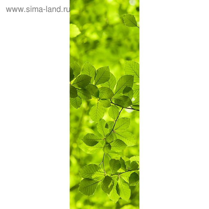 Фотообои "Зеленые листья", 0,9х2,7 м - Фото 1