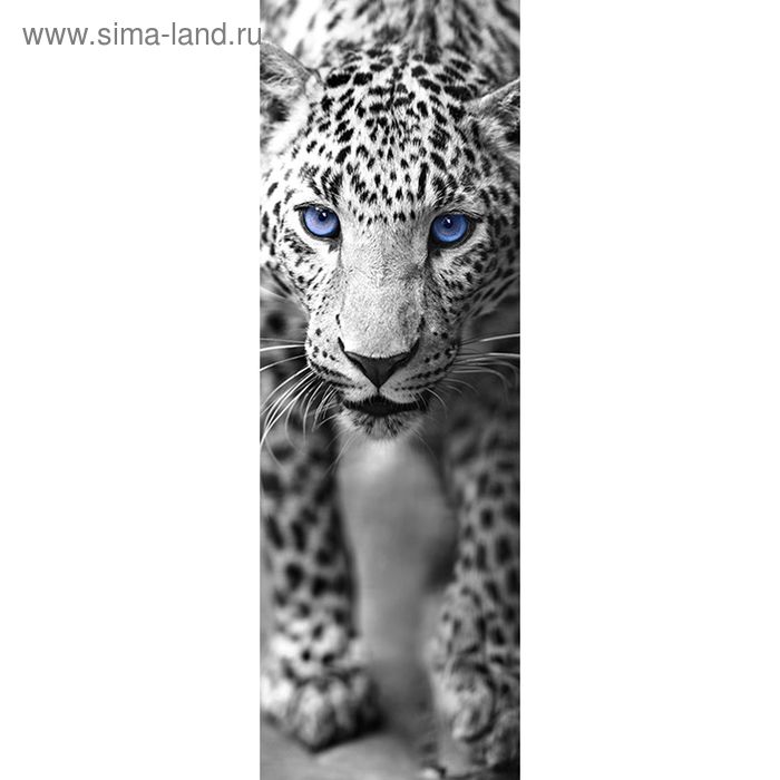 Фотообои "Леопард чёрно-белый", 0,9х2,7 м - Фото 1