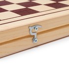 Нарды "Витки", деревянная доска 60 х 60 см, с полем для игры в шашки - фото 9545983
