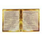 Тетрадь предметная "Золотая лихорадка-2" 48 листов, клетка "Химия", металлизированный картон, конгрев, выборочный УФ-лак - Фото 3